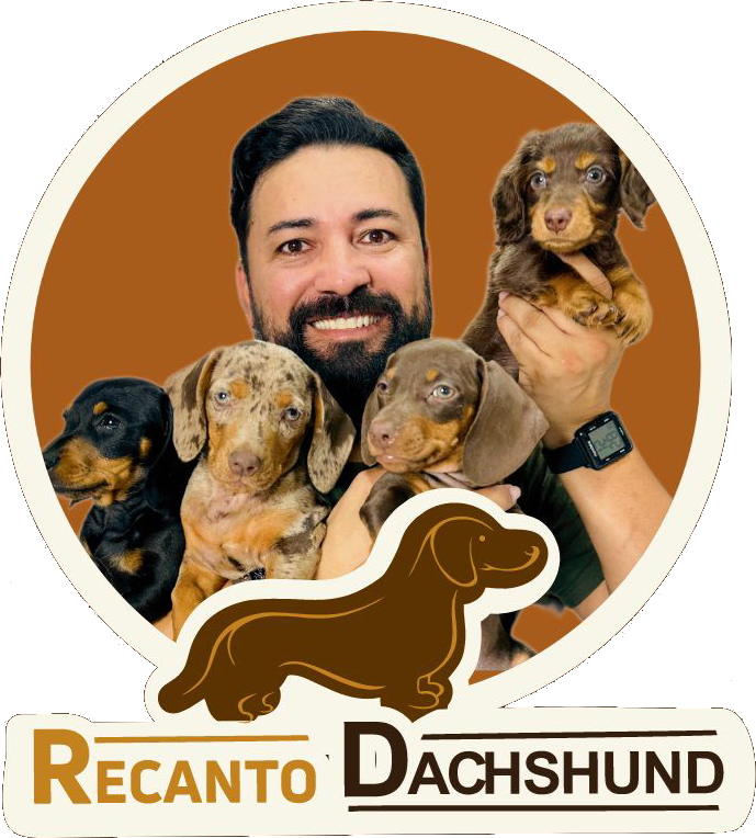 Dachshunds Exclusivos
